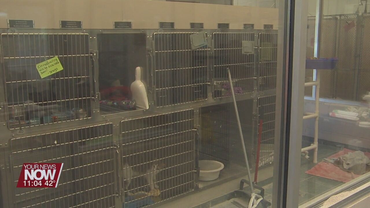 SPCA asking for donations for their upcoming fundraiser